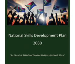 Department of Higher Education and Training (DHET): National Skills Development Plan